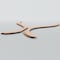 Ekena Millwork 63W x 94 12H x 14T Large Villarreal Decorative Fretwork Wood Ceiling Panels, Maple CELW63X95X0250VILMA - alternate 10